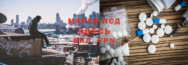 PSILOCYBIN Балабаново