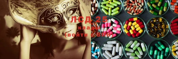 спайс Аркадак