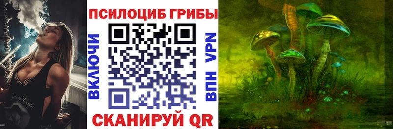 Галлюциногенные грибы MAGIC MUSHROOMS  где можно купить   Чудово 