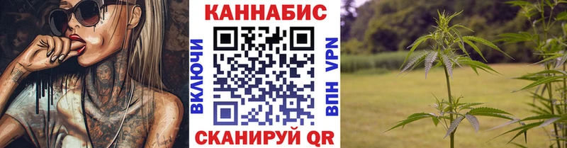 Канабис семена  Чудово 